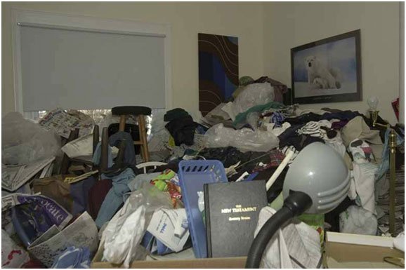 Reasons for Having Professional Hoarding Clean up Services