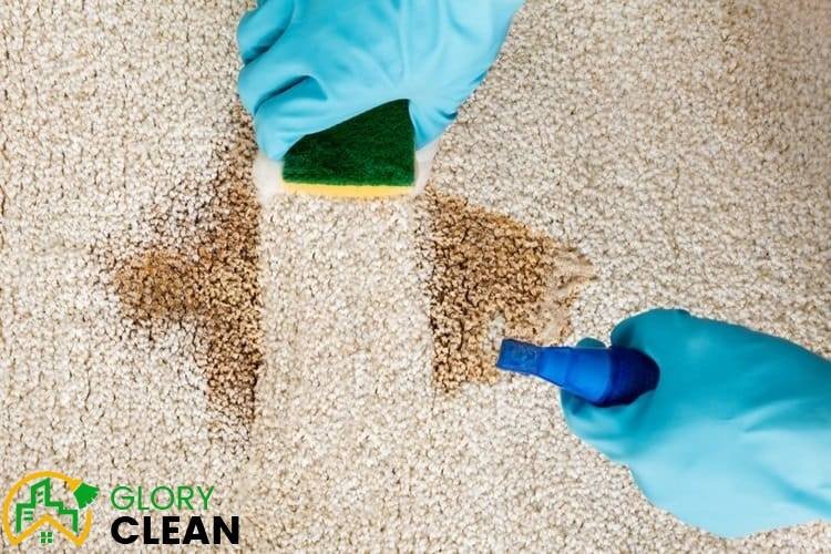 Professional Carpet Cleaning Improves the Cleanliness of your Commercial Facility