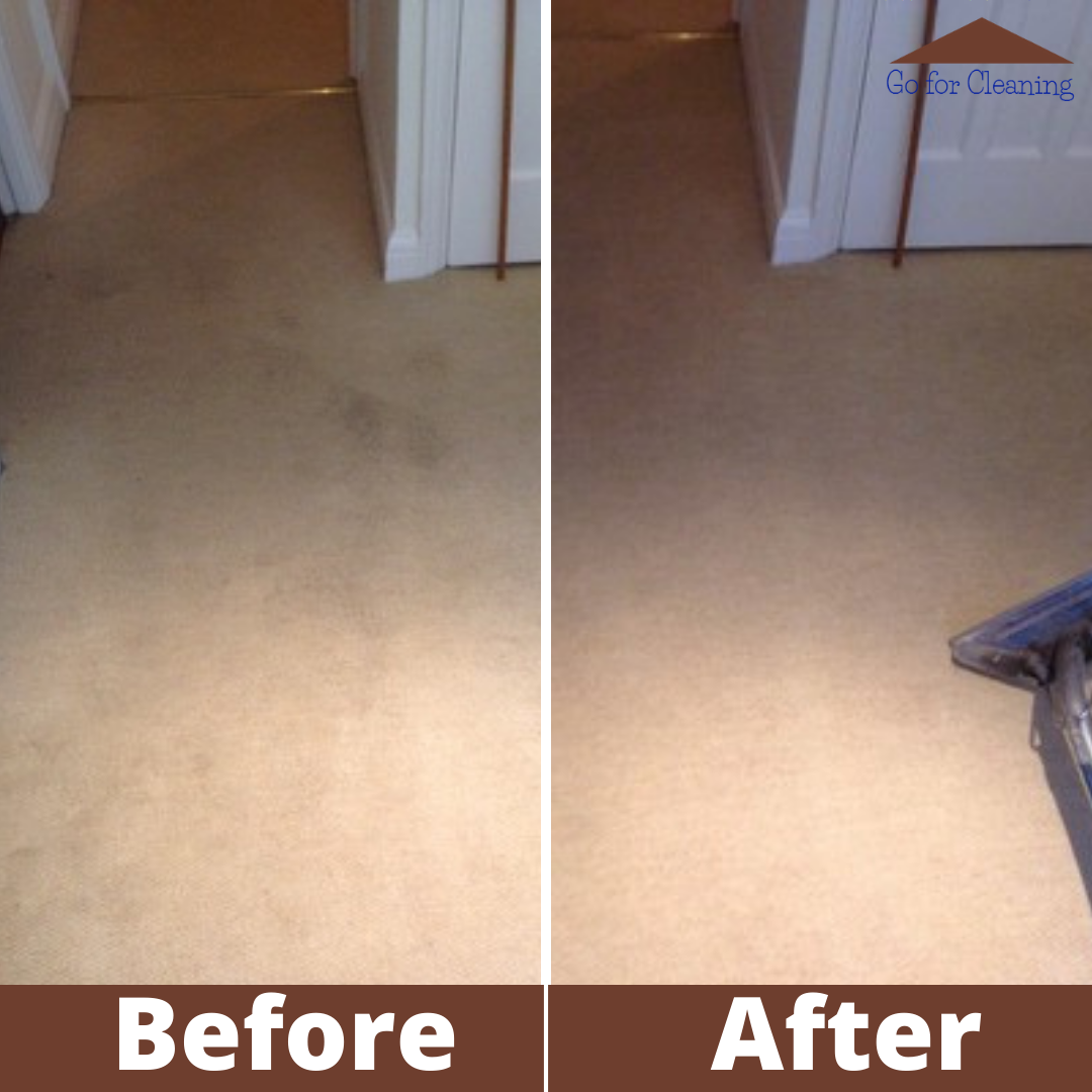 Maintain the Aesthetics of your Carpet with Professional Carpet Cleaning Assistance