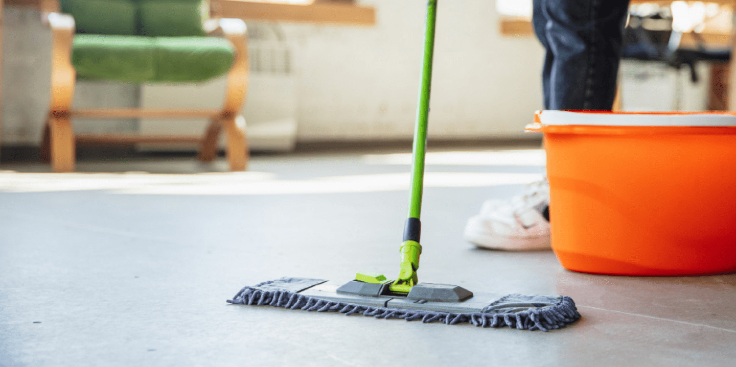 Reasons Why Office Carpet Cleaning Is Necessary